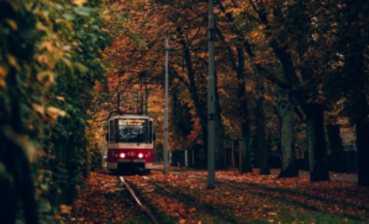 Viaggio in treno per viaggio perfetto