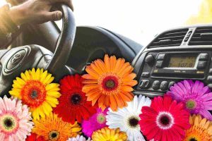 Auto profumata con prodotti naturali
