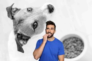 Tre alimenti da non far mangiare al tuo cane: quali sono