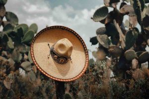 Un cappello da sobrero su un cactus