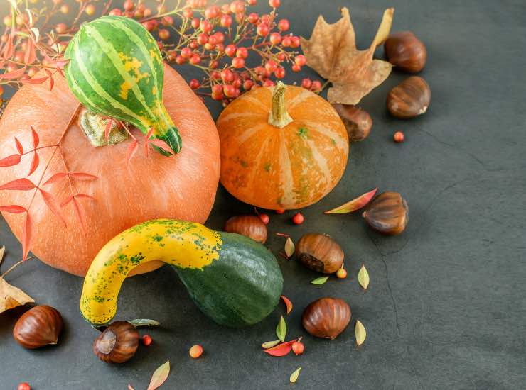 Zucche e castagne di ottobre