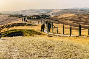 colline in toscana