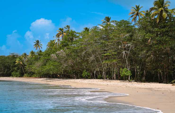 spiaggia di Castries