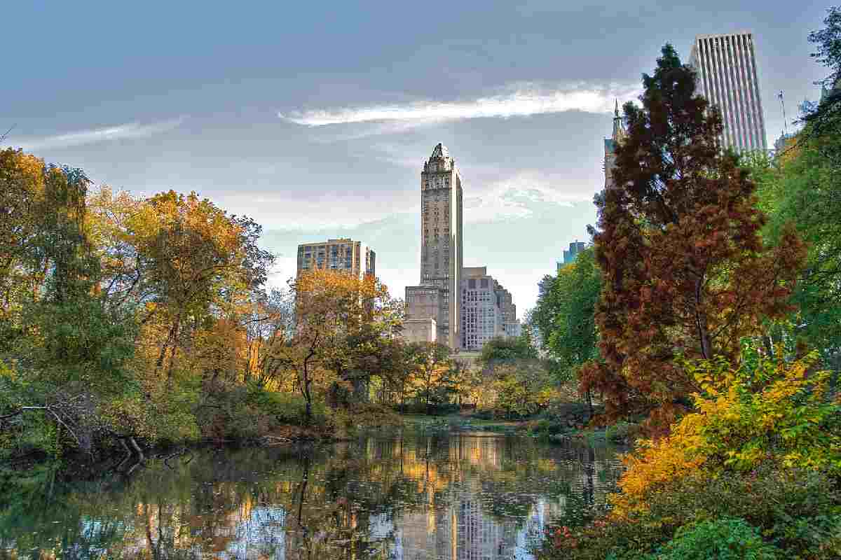 Central Park