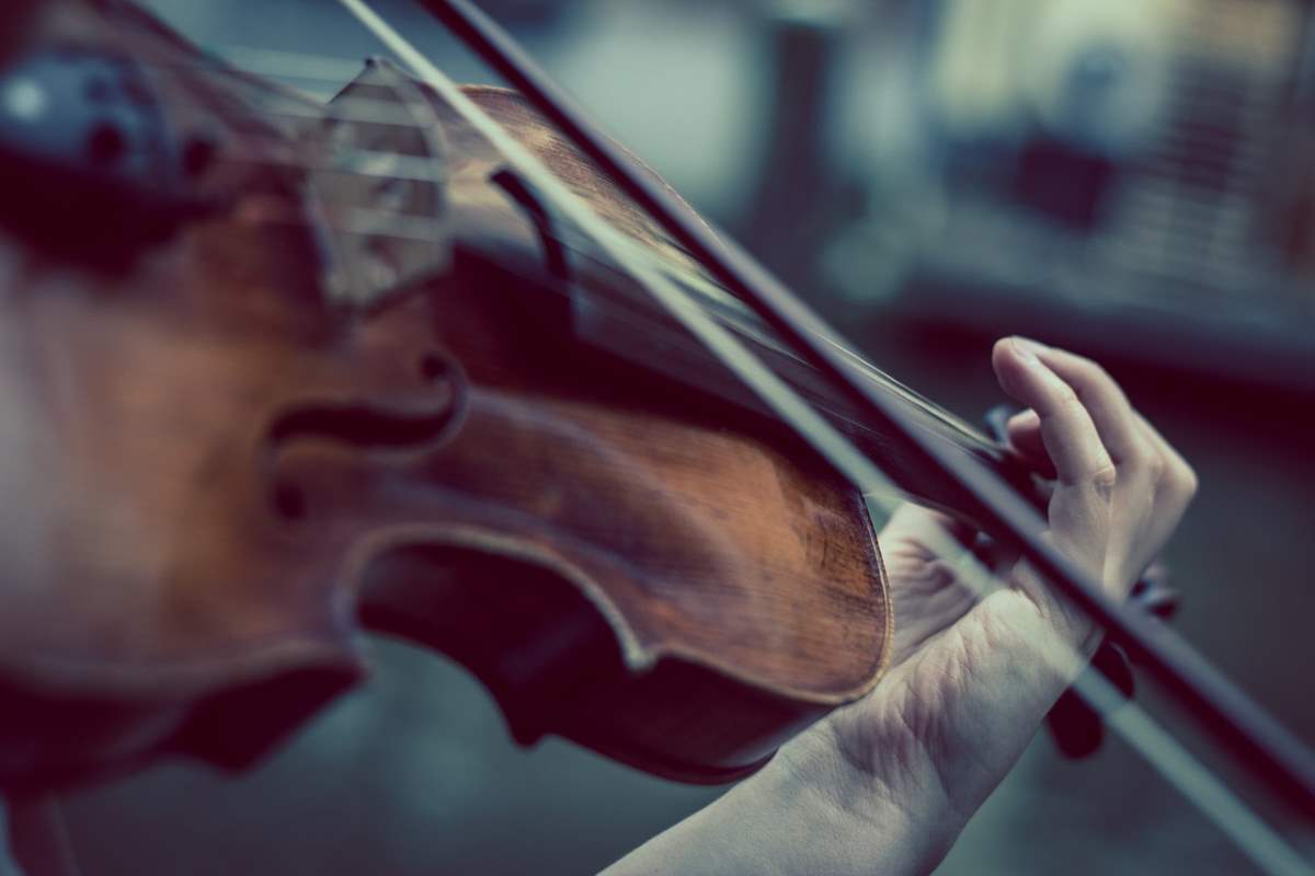 Violino